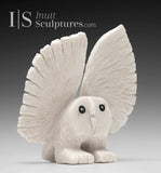 6" SIGNATURE Owl  by Palaya Qiatsuq *Snowflake*