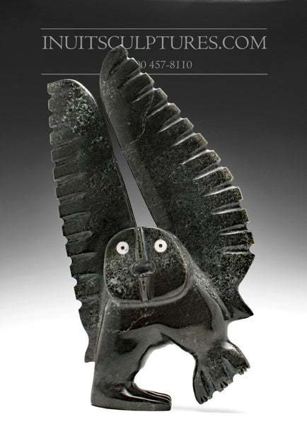 13" Owl with Inlayed Eyes by Palaya Qiatsuq