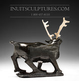 8" Gracious Caribou by Late Pavinak Petaulassie (1961-2019)