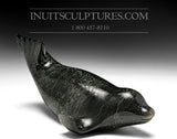 10" Diving Seal by Emataluk Saggiak  *Lionhearted*