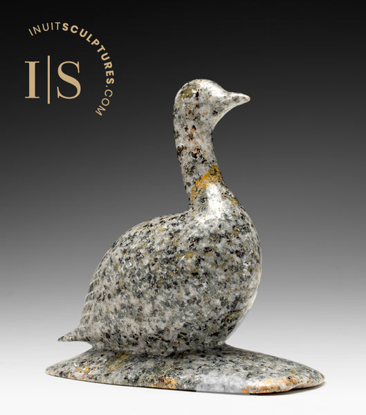 8" Ptarmigan Bird by Mark Pitseolak *Gordon*