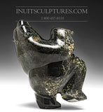 8" Unabashed Portly Dancing Bear  Isaaci Petaulassie