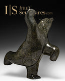 22" SIGNATURE Dancing Bear by Ashevak Adla *Elegant Skater*