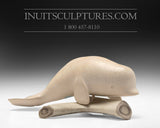 7" Satin Beluga Whale by Daniel Shimout