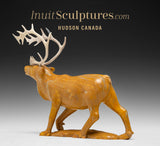 8" Striding Caribou Master Carver Derrald Taylor