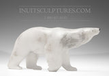 13" Walking Polar Bear Master Carver Derrald Taylor