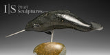 20" Narwhal with Spiralled Tusk by Inuk Charlie *Offshore Drilling*