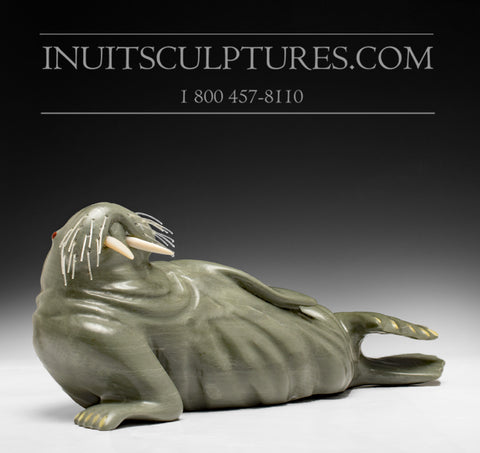 12" Green Basking Walrus by Famous Jimmy Iqaluq