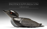 17" Black Loon by Jimmy Iqaluq