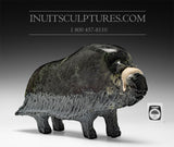 12" Muskox by Joamie Aipeelee *Midnight Ink*