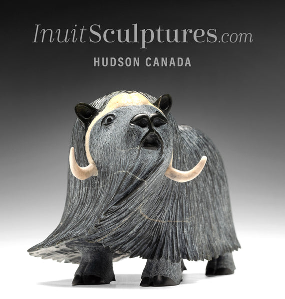 10" SIGNATURE Muskox by Lucassie Ikkidluak *Hope*