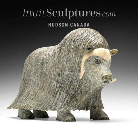 14" SIGNATURE Muskox by Lucassie Ikkidluak  *Glint*