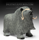 20" Muskox by Elite Carver Lucassie Ikkidluaq *Windswept Warrior*