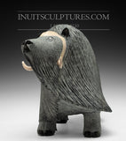 20" Muskox by Elite Carver Lucassie Ikkidluaq *Windswept Warrior*