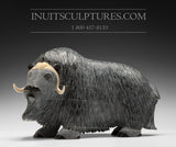 12" Iconic Masterpiece Muskox by Lucassie Ikkidluaq