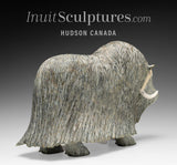 14" SIGNATURE Muskox by Lucassie Ikkidluak  *Glint*