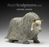 14" SIGNATURE Muskox by Lucassie Ikkidluak  *Glint*