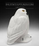 10” SIGNATURE Owl by Manasie Akpaliapik *Ookpik*