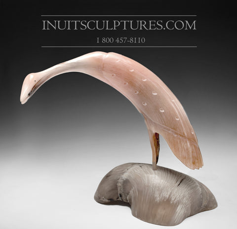 11" Muskox (Musk Ox) Horn Bird by Buddy Alikamik