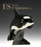 6" SIGNATURE Orca by Johnnysa Mathewsie  *Frozen in Time*