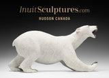 15" Rare Open Mouth Polar Bear by Paul Malliki  *Rory* CURATOR'S CHOICE