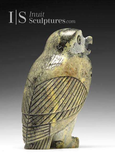 8" SIGNATURE Owl (rare colour stone) by Pits Qimirpik *Julius*