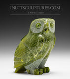 6" SIGNATURE Owl by Pitseolak  Qimirpik *Alert and On Guard*