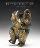 9" Dancing Bear Samonie Shaa