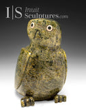 10" SIGNATURE Owl by Sam Qiatsuk *Izzy*