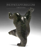 7" Diving Bear by Tim Pee