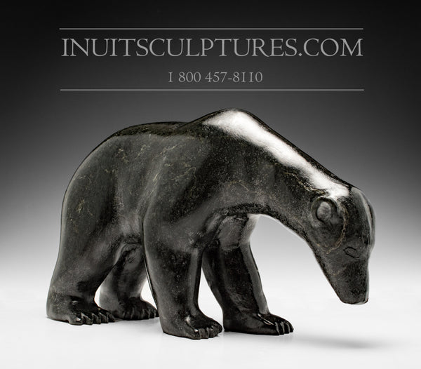 11" Dark Prowling Walking Bear by Noah Siusanginark