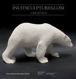 24" Museum Calibre Polar Bear by World Famous Paul Malliki